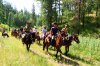 Тур Башкирия - конный край